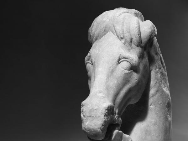 Marble head of a horse from the excavations of the Thessaloniki Metro ©EFAPOTH